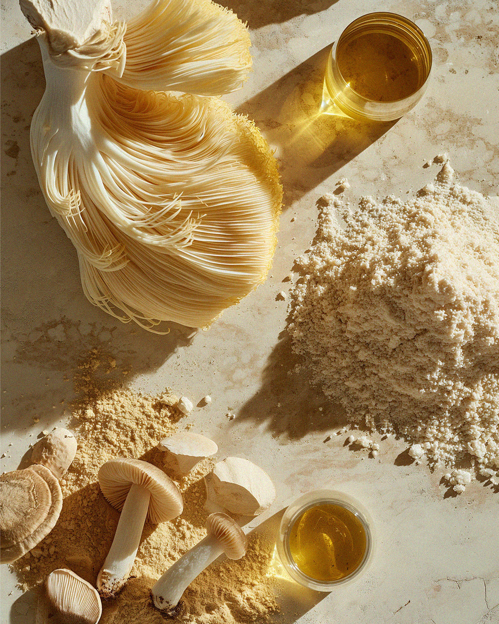 intentio-focus-patch-ingredients-odea