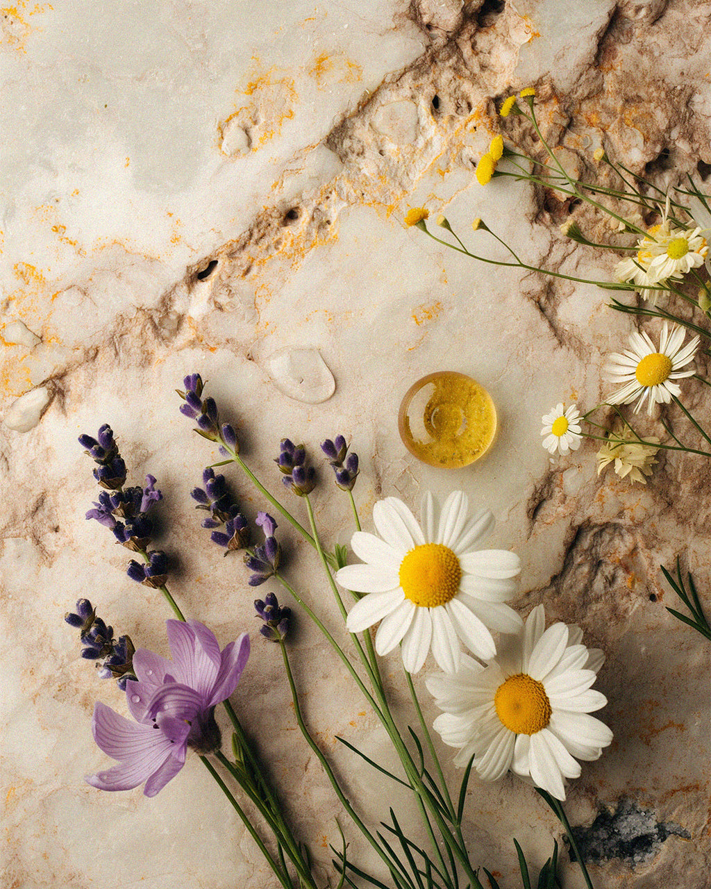 somnia-sleep-patch-ingredients-odea